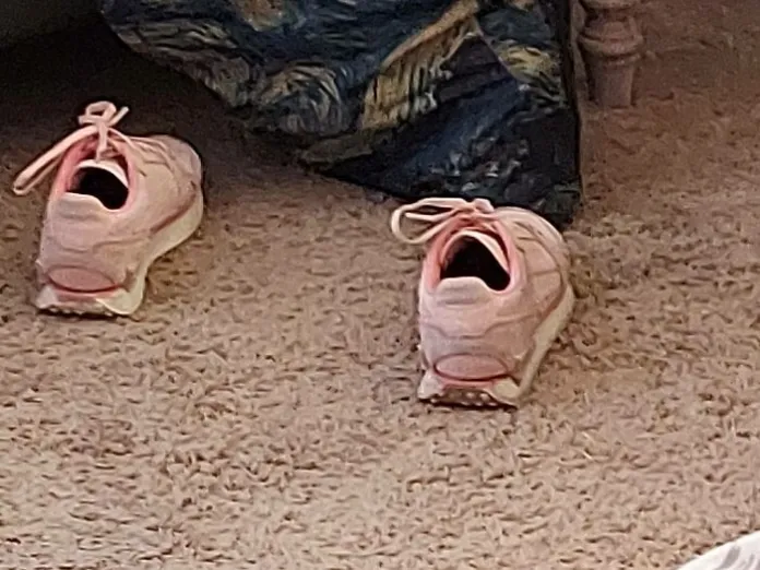 Laughing Shoes