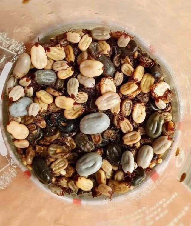 Trail mix