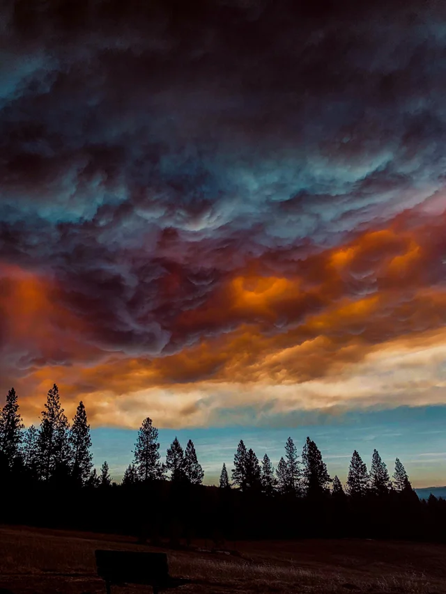 Apocalyptic sky in Northern California yesterday due to smoke from nearby fires