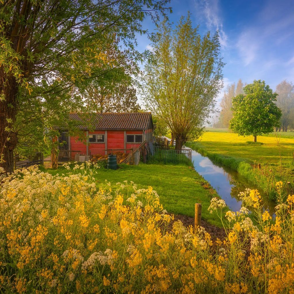 Beautiful Village Home In Netherlands