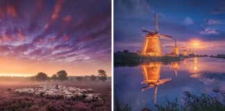 Here’s why the Netherlands is the most beautiful country in the world (20 Pics) Here's why the Netherlands is the most beautiful country in the world