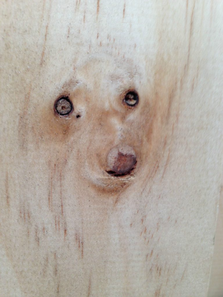 The knots in the wood looks like a dog