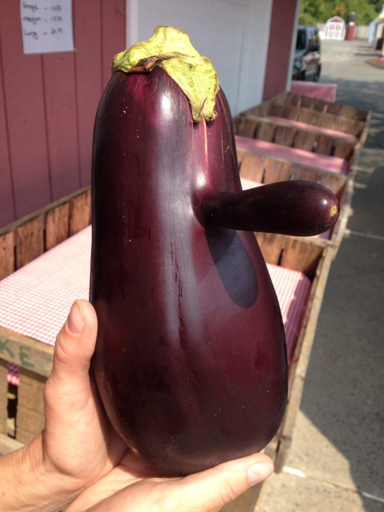 This Eggplant Has a Long..... Nose