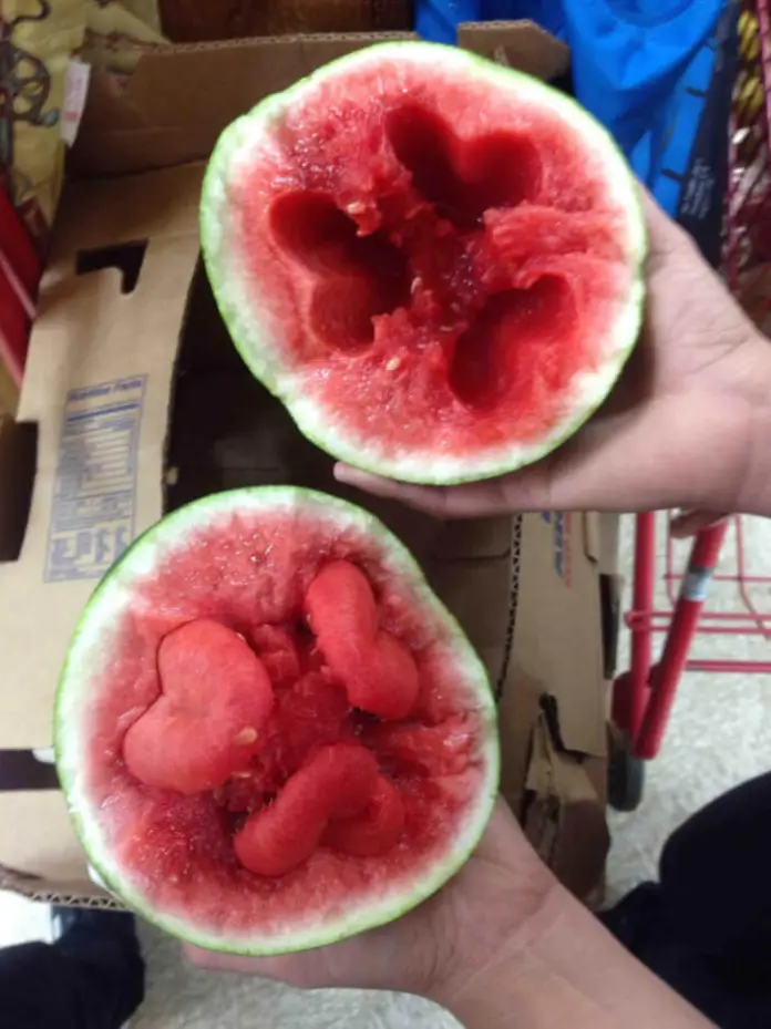 This Watermelon Looks Almost Like It Has Tongues