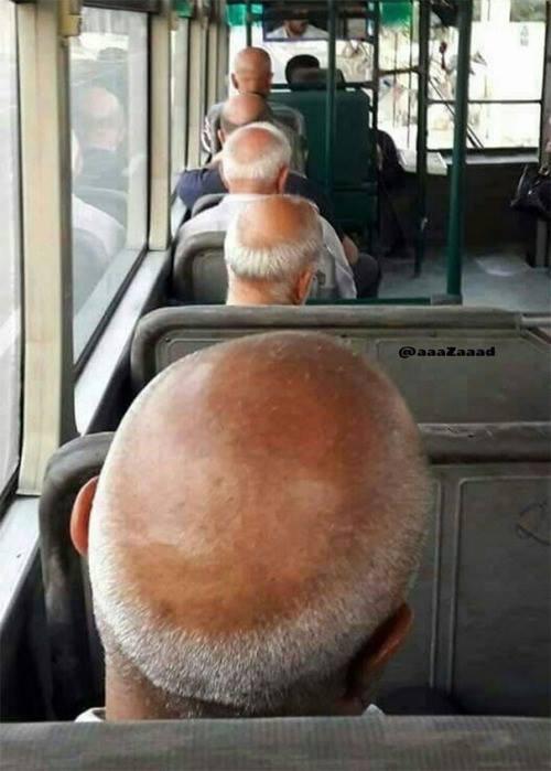 A balding bus