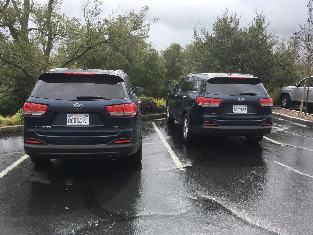 My rental car is on the left. Parked at a winery and came outside to find this