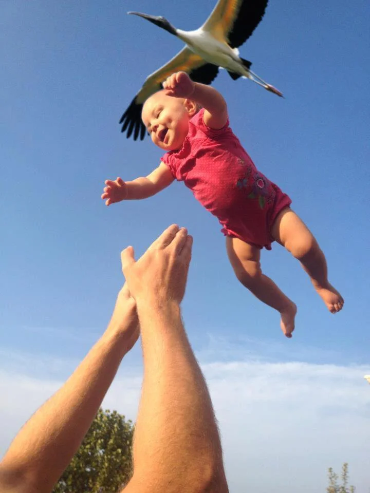 Nothing to see here. Just a stork making a delivery