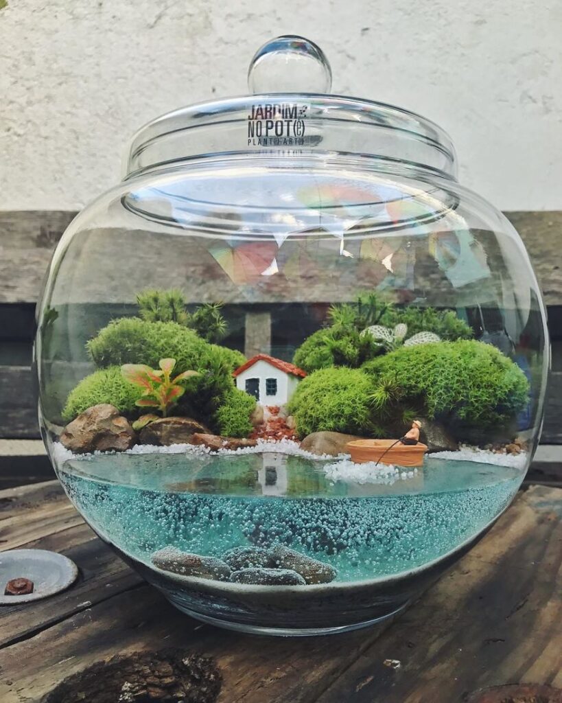 Self Sustaining Ecosystems In Jars