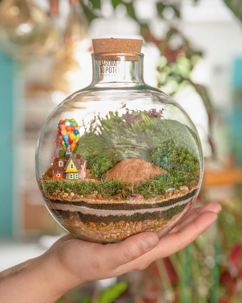 Self Sustaining Ecosystems In Jars