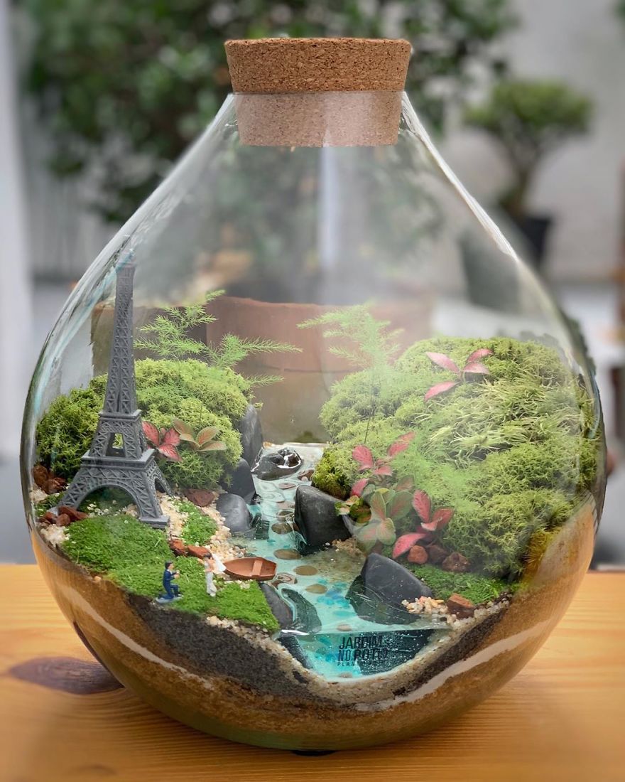 Self Sustaining Ecosystems In Jars