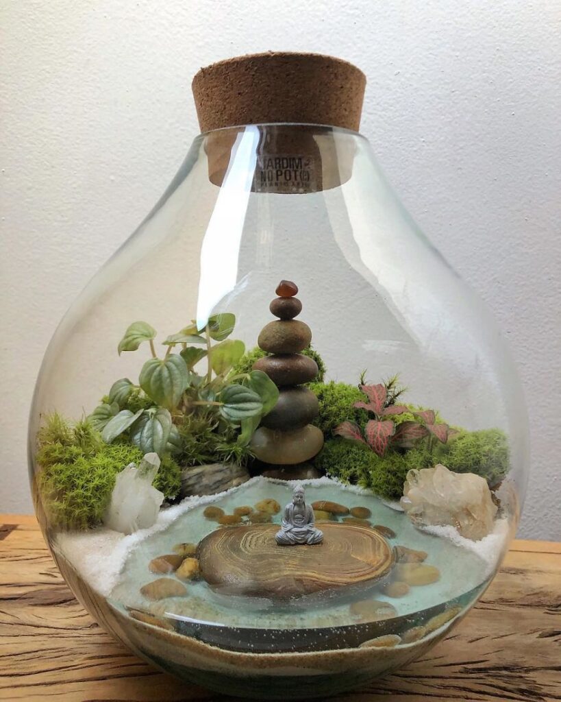 Self Sustaining Ecosystems In Jars