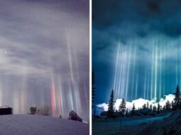 Photographer Captures Amazing Light Pillars In Northern Ontario (25 Pictures)
