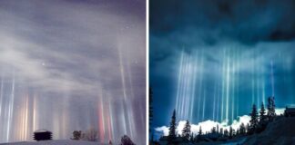 Photographer Captures Amazing Light Pillars In Northern Ontario (25 Pictures) Photographer Captures Amazing Light Pillars In Northern Ontario (25 Pictures)