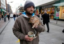 Homeless Man Bravely Jumps Over A Bridge To Save His Rabbit, Which Was Thrown By A Young Man Homeless Man Bravely Jumps Over A Bridge To Save His Rabbit, Which Was Thrown By A Young Man