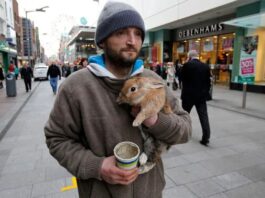 Homeless Man Bravely Jumps Over A Bridge To Save His Rabbit, Which Was Thrown By A Young Man